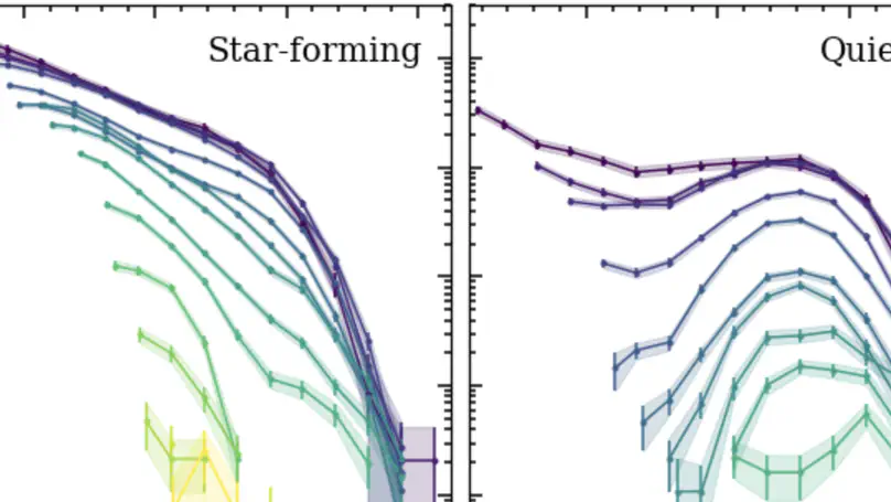 Galaxy Stellar Mass Assembly History Over 13 Billion Years